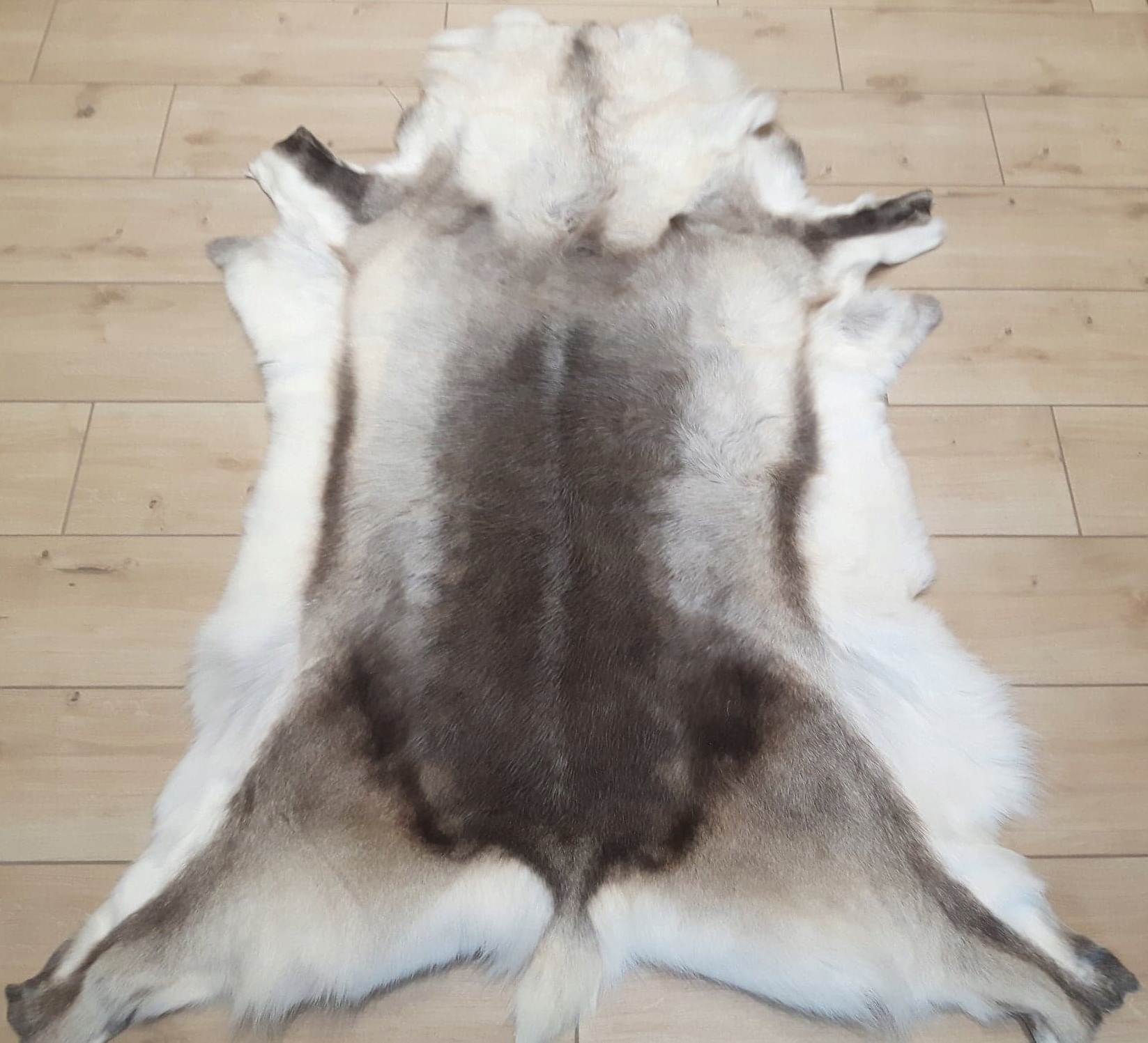 ПОТРЯСАЮЩИЕ ШКУРЫ ОЛЕНЕЙ! ОТЛИЧНОЕ УКРАШЕНИЕ!