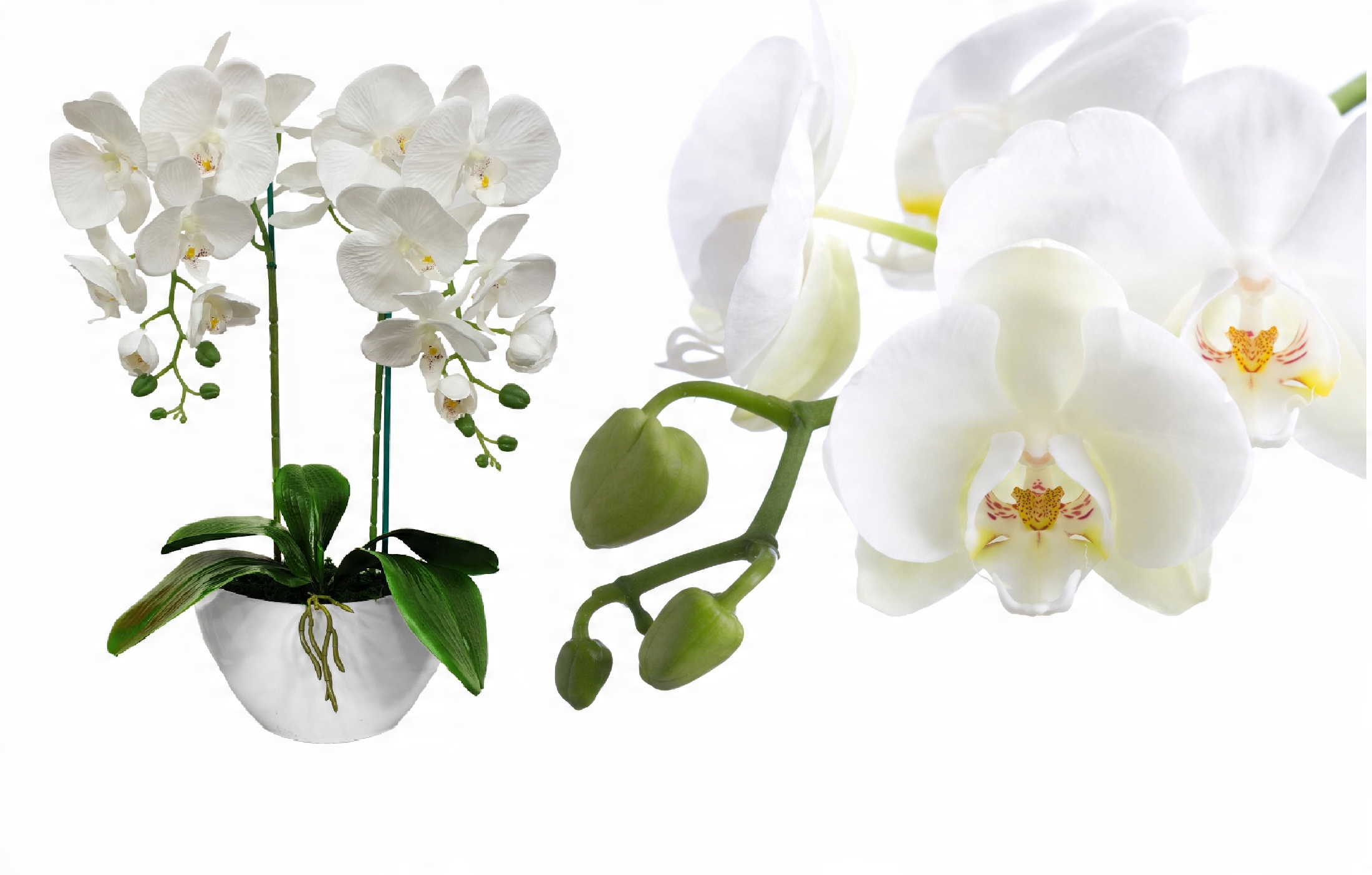 

Storczyk Sztuczny Storczyki Kwiat Orchidea 65 cm