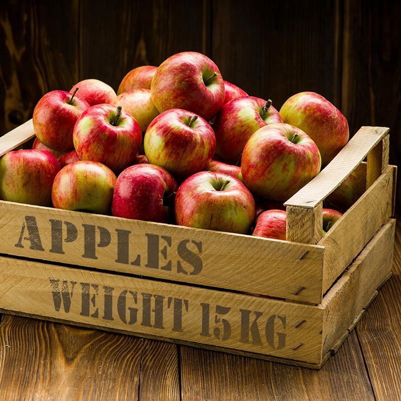 SZABLON MALARSKI wielokrotny // 65x95cm // LITERY Kod producenta SZA-SIN-026_L