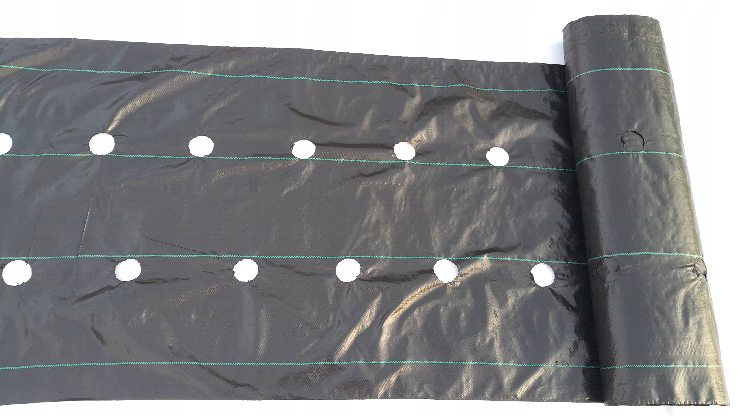 

Agrotkanina na Truskawki z Otworami 110x500cm