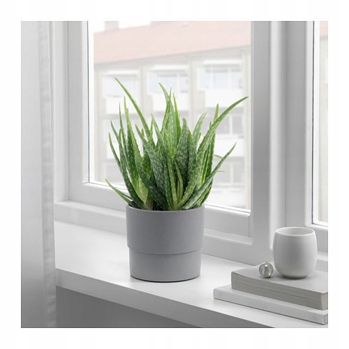 IKEA NYPON Osłonka Doniczki SZARA 12 cm wew/zew Kod producenta 403.956.17