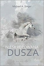

Nieskrępowana dusza Michael A. Singer Galaktyka