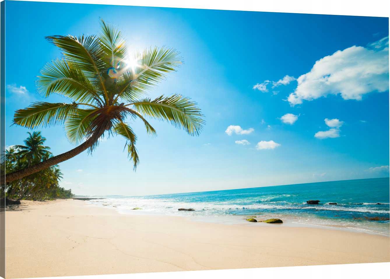 

Obraz Na Płótnie Plaża Palmy Morze 100x70 800 Wz