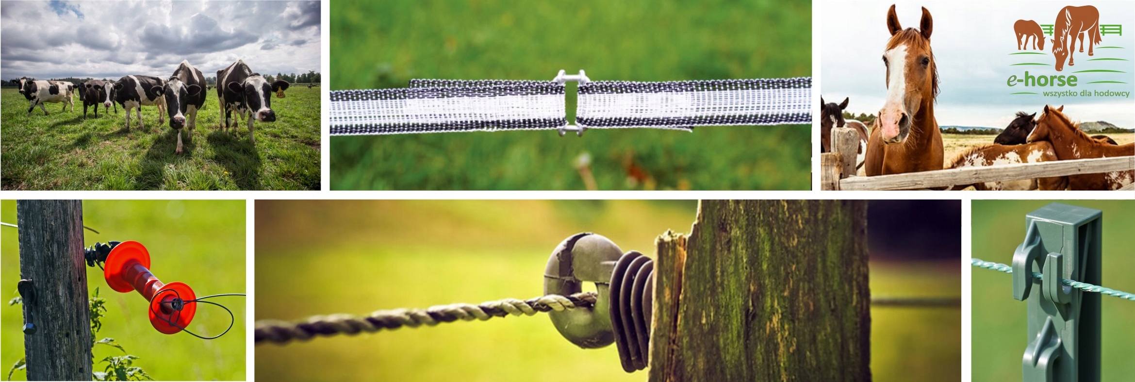 Zawór rurowy do poideł Rodzaj inny