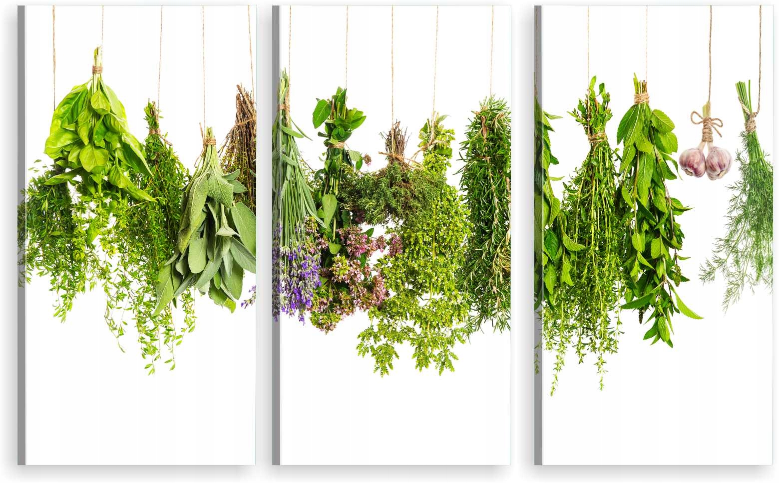 

Tryptyk Obraz Na Ścianę Do Kuchni Zioła 800 Wzorów