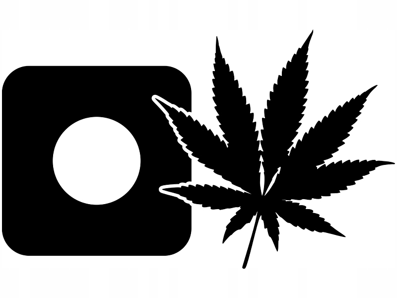 

Naklejka pod Włącznik kontakt Liść Konopii