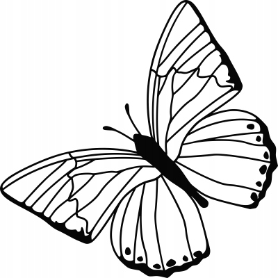 

Naklejka na ścianę z motylem Motyl 35 cm