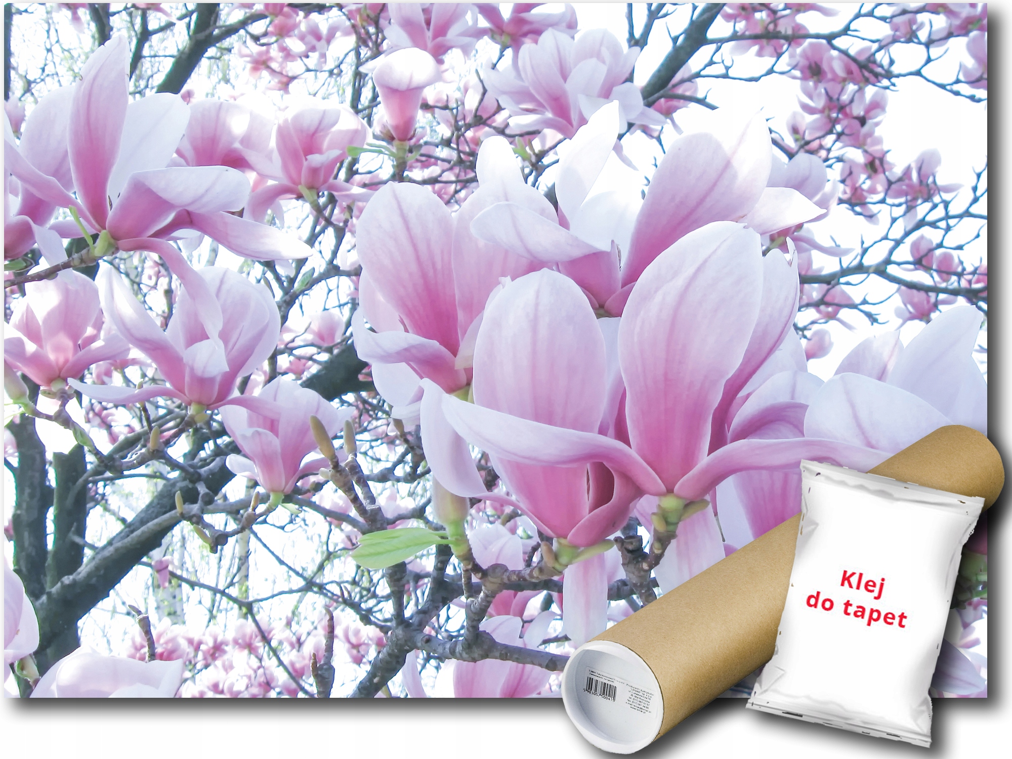 

Fototapeta Kwiaty Magnolie 9E F2XL 312x219 F1619