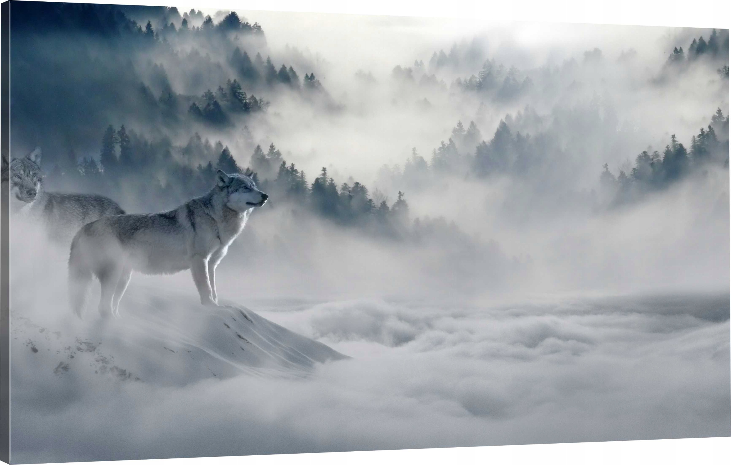 

Obraz Na Płótnie wilk las mgła canvas 90x60 Wybór