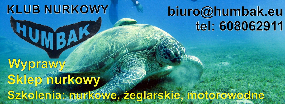 Płetwy MARES Quattro z bungee R blue Marka Mares