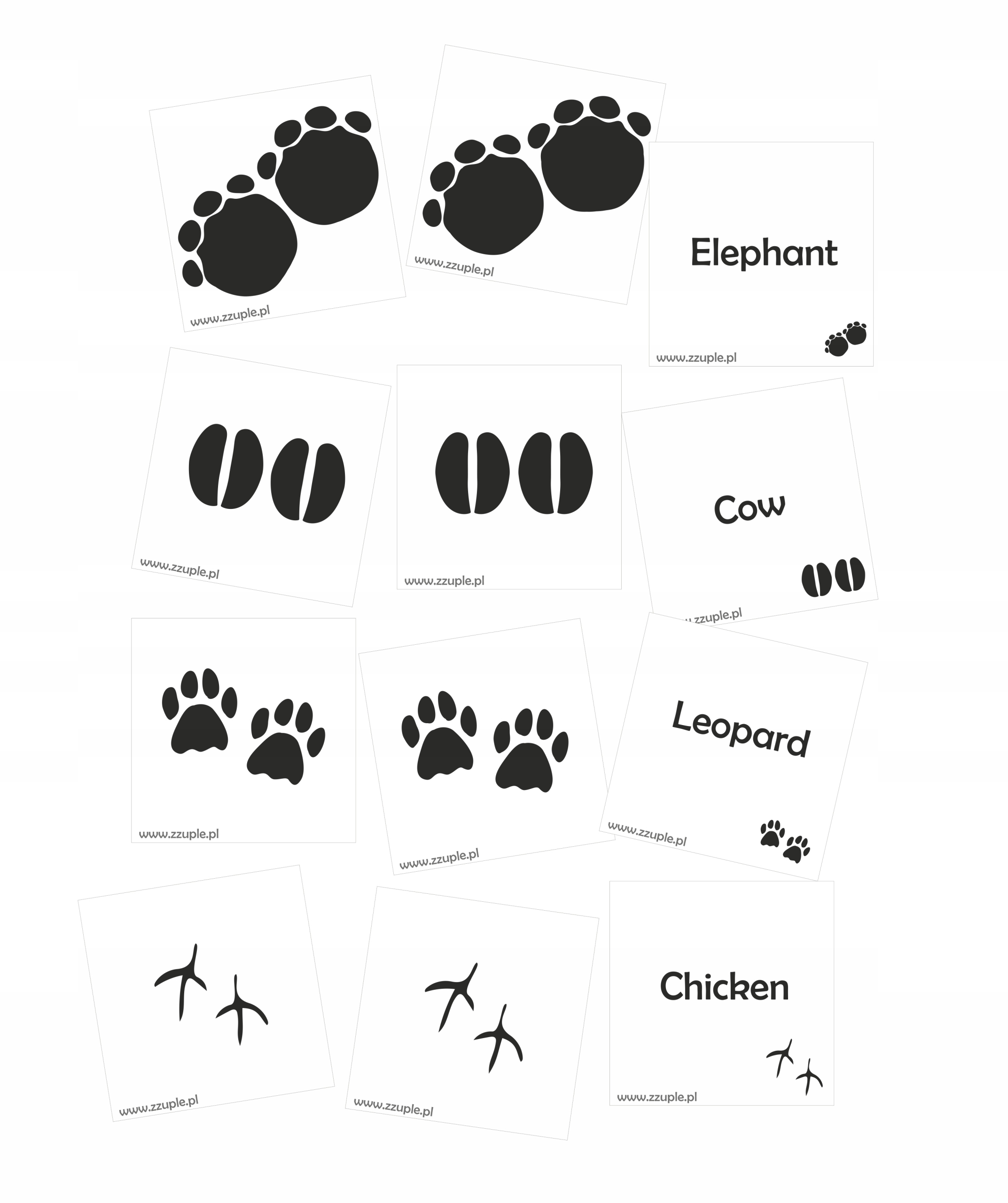 Footprints. Animals. Angielskie słowa. Mata i memo ISBN 5907741582077