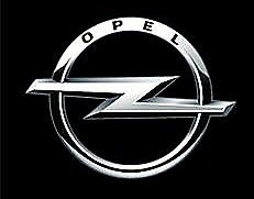 Zawias drzwi OPEL INSIGNIA Producent części Opel OE