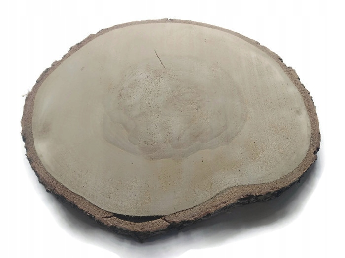 Suchy Plaster drewna krążek brzoza 14-17 cm Rodzaj drewna brzoza