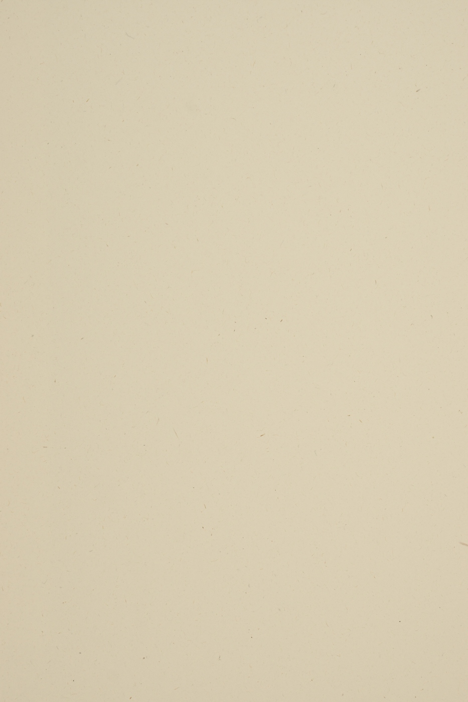 

Papier ekologiczny Woodstock Betulla 225g 10A4 eko