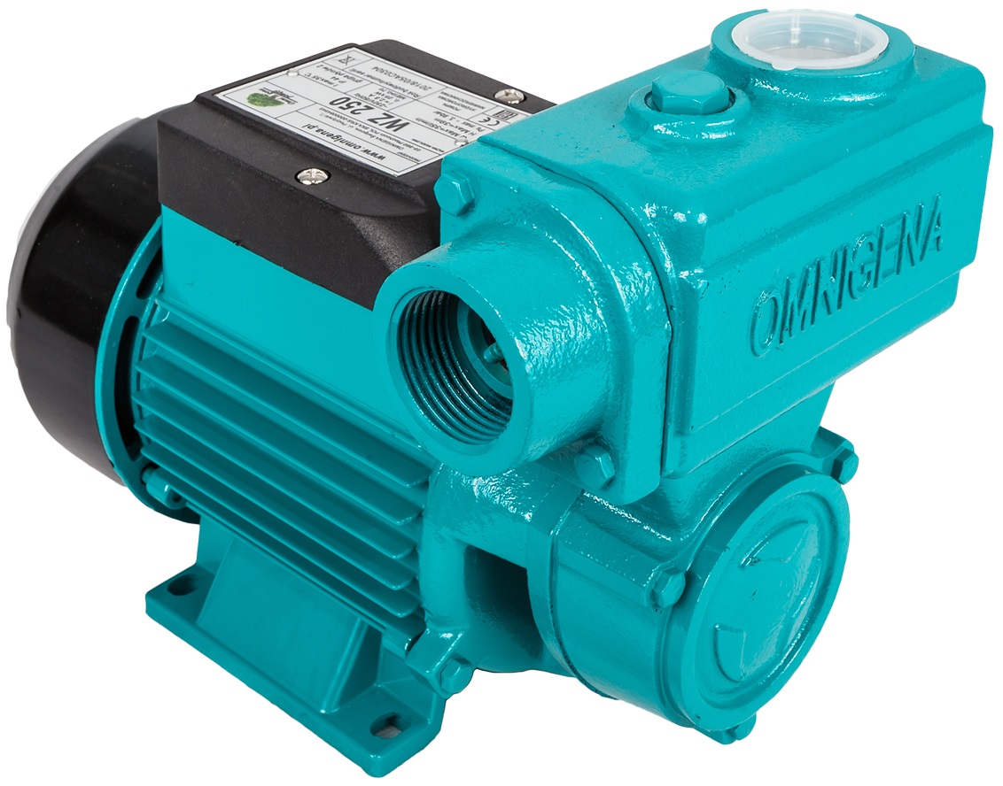 

Pompa Do Podlewania Wz 250 Omnigena bez osprzętu