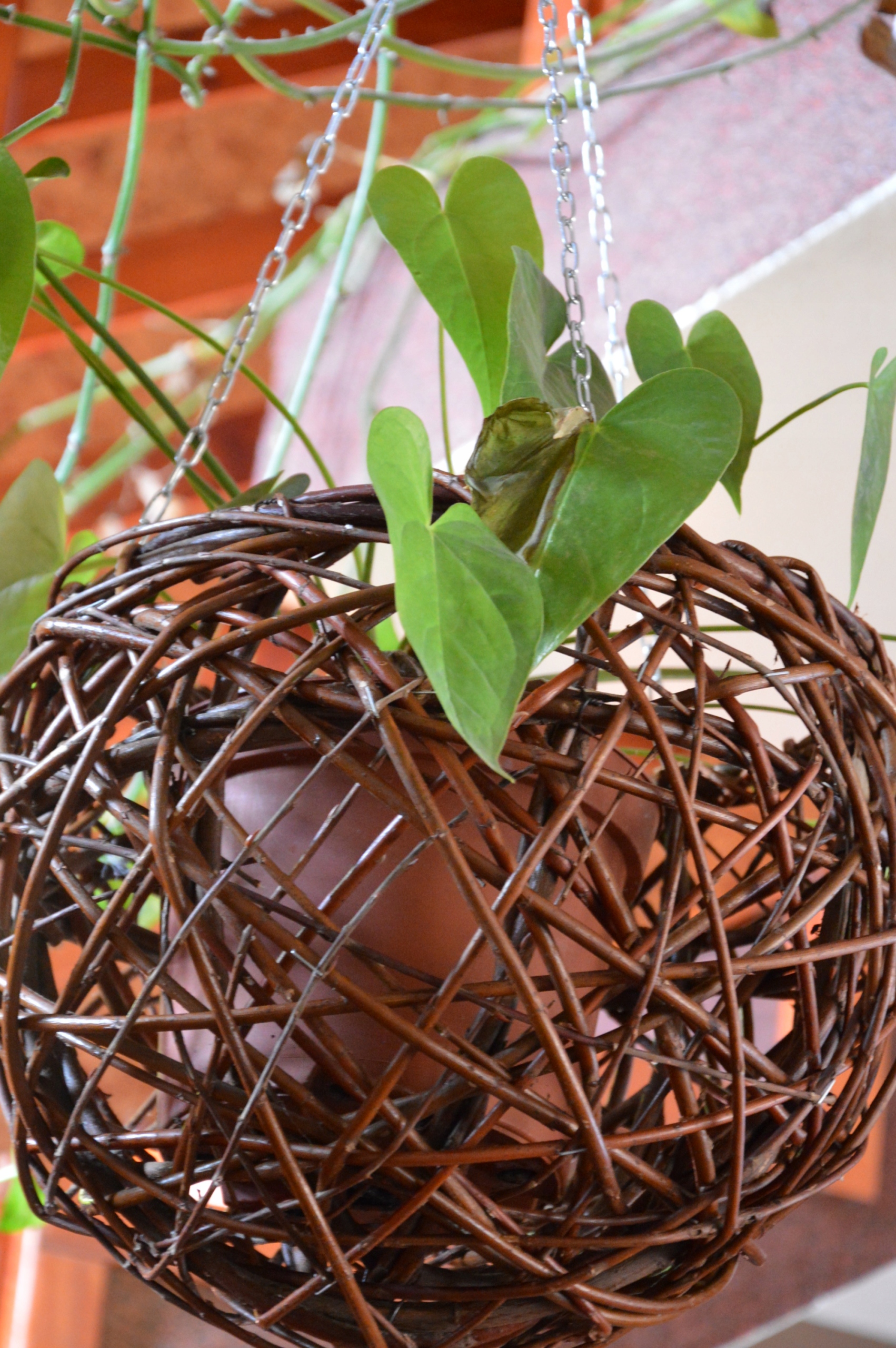 Oryginalny kosz WISZĄCY na kwiaty XL- WIKLINA Marka Wik-World