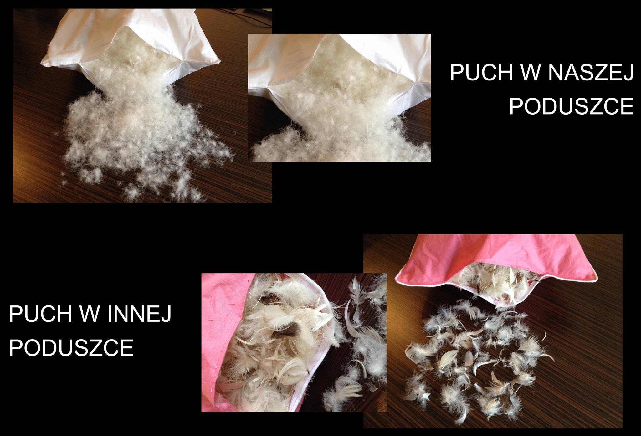 Kołdra EVOLUTION 200x220 ANTYROZTOCZOWA puch gęsi Sezonowość kołdry całoroczna