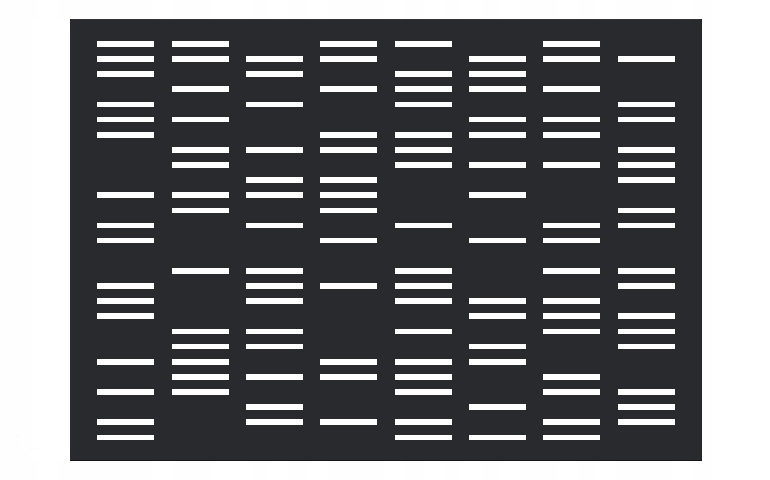 Płoty ogrodzeniowe perforowane malowane 2x1,25 m Kod producenta .