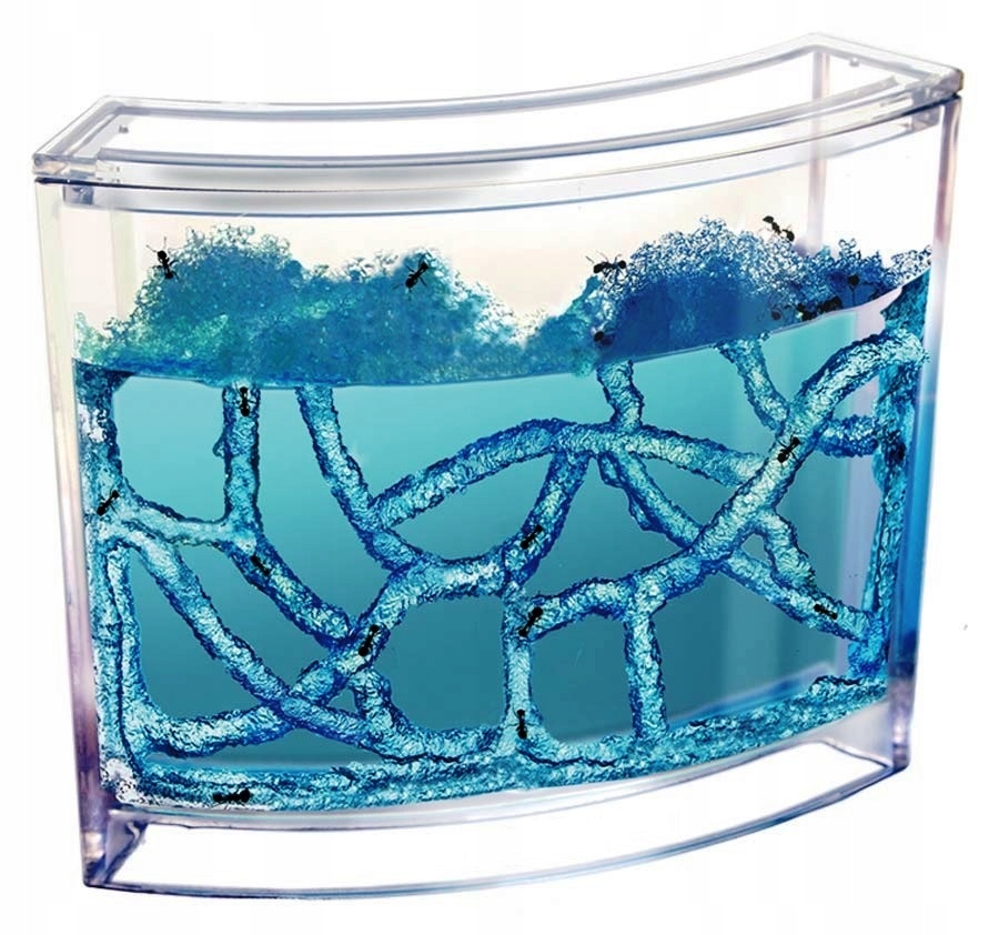 

Akwarkium Terrarium Edukacyjne Żelowe dla Mrówek