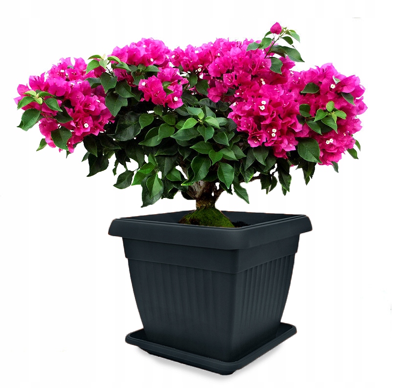 DONICA DUŻA OGRODOWA TARAS KWADRAT PODSTAW 45x45cm