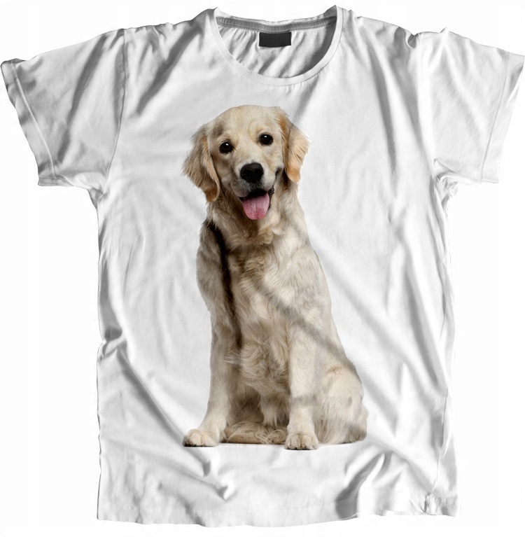 

Golden Retriever koszulka damska z psem r. XL
