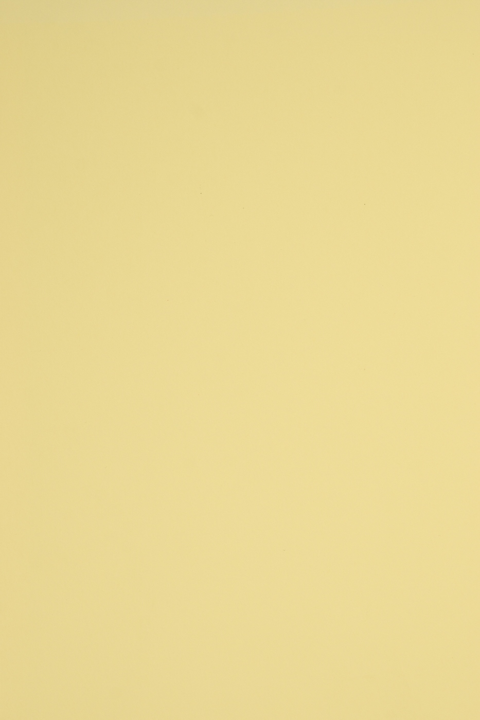 

Papier kolorowy Rainbow 230g jasny żółty R12 20A4