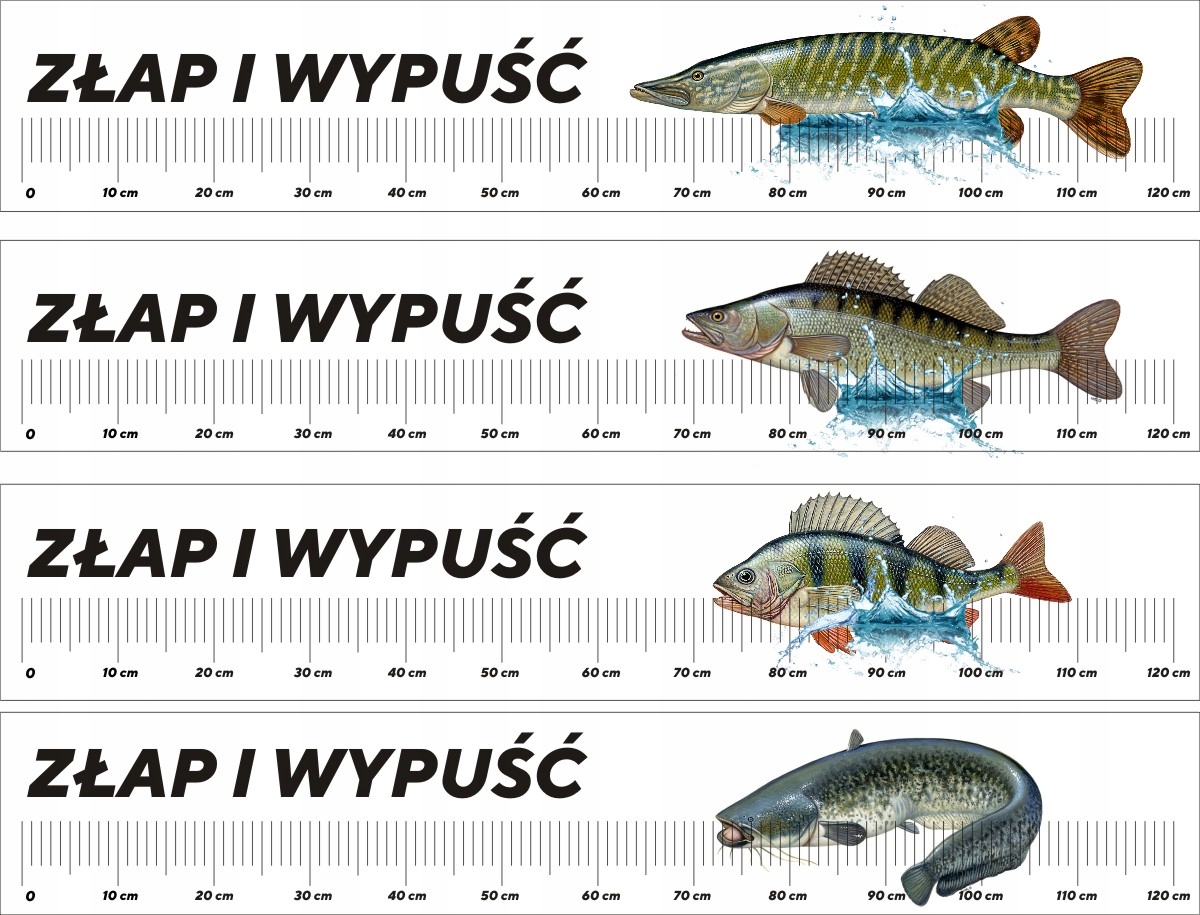 MIARA MIARKA DO RYB NA ŁÓDKĘ WĘDKARSKA NAKLEJKA
