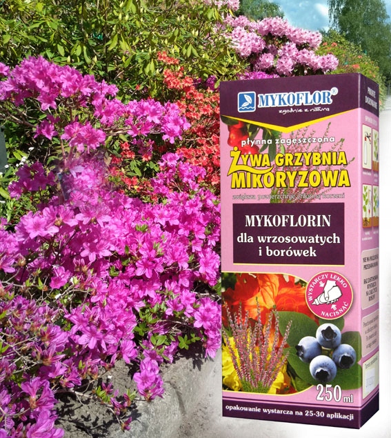 Mikoryza BORÓWKA RODODENDRON WRZOS grzybnia EAN (GTIN) 5907651625048
