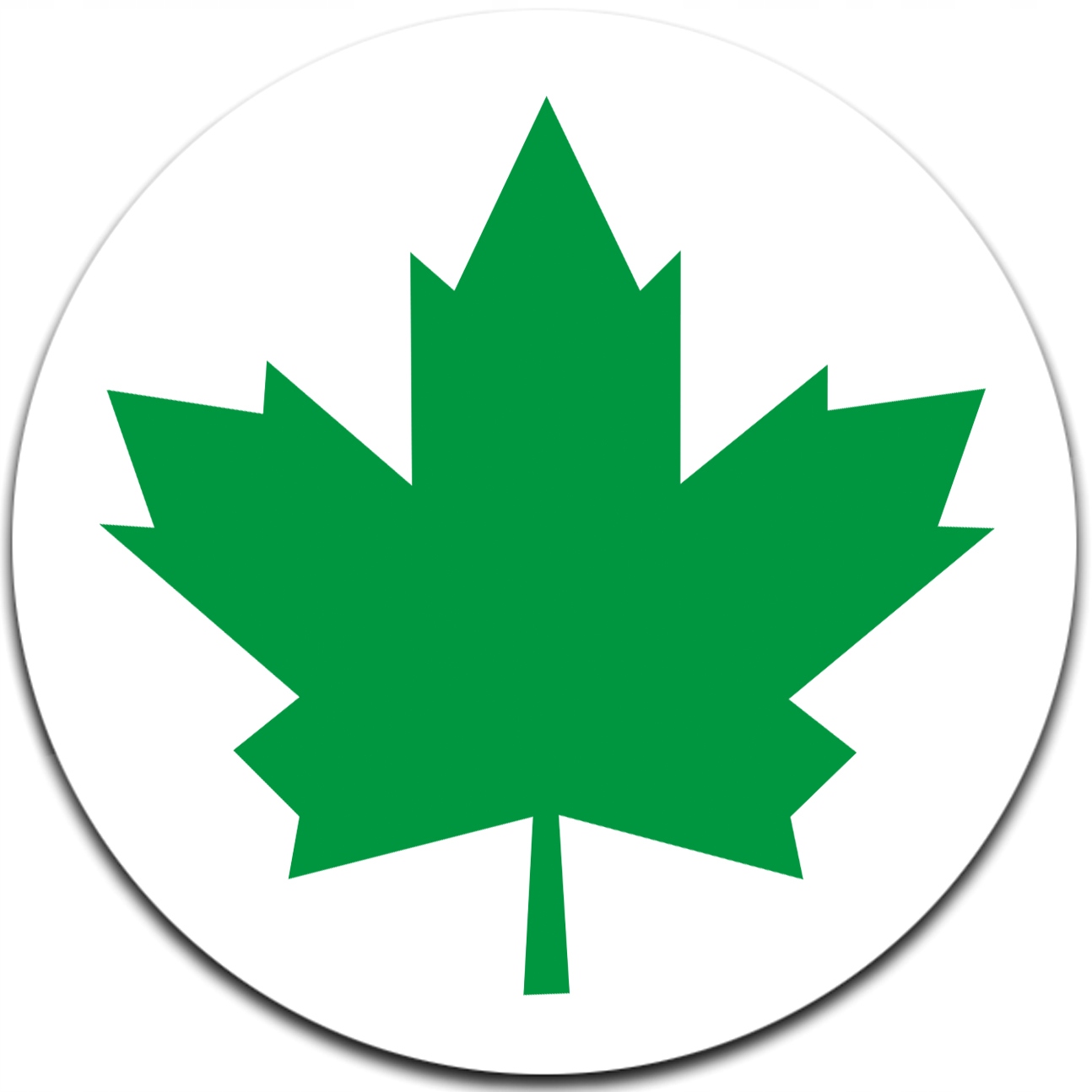 ZIELONY LISTEK MŁODEGO KIEROWCY MAGNES MOCNY!