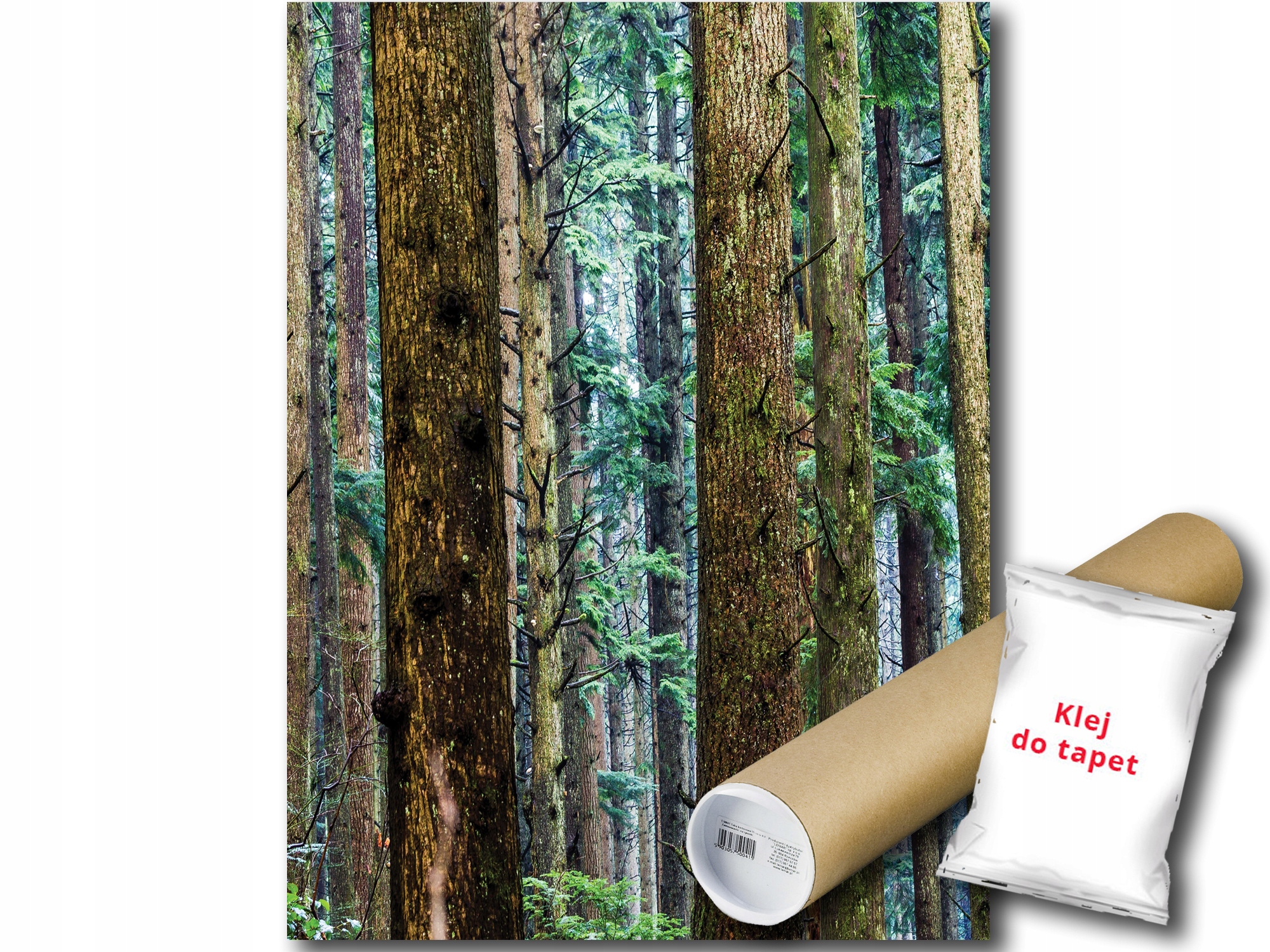 Fototapeta Les Stromy 19A Panxl 206x275 F11751