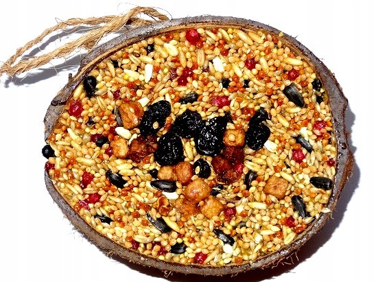 KARMA POKARM dla PAPUG PAPUGI kanarka nimf nimfy przysmak w KOKOSIE klatka