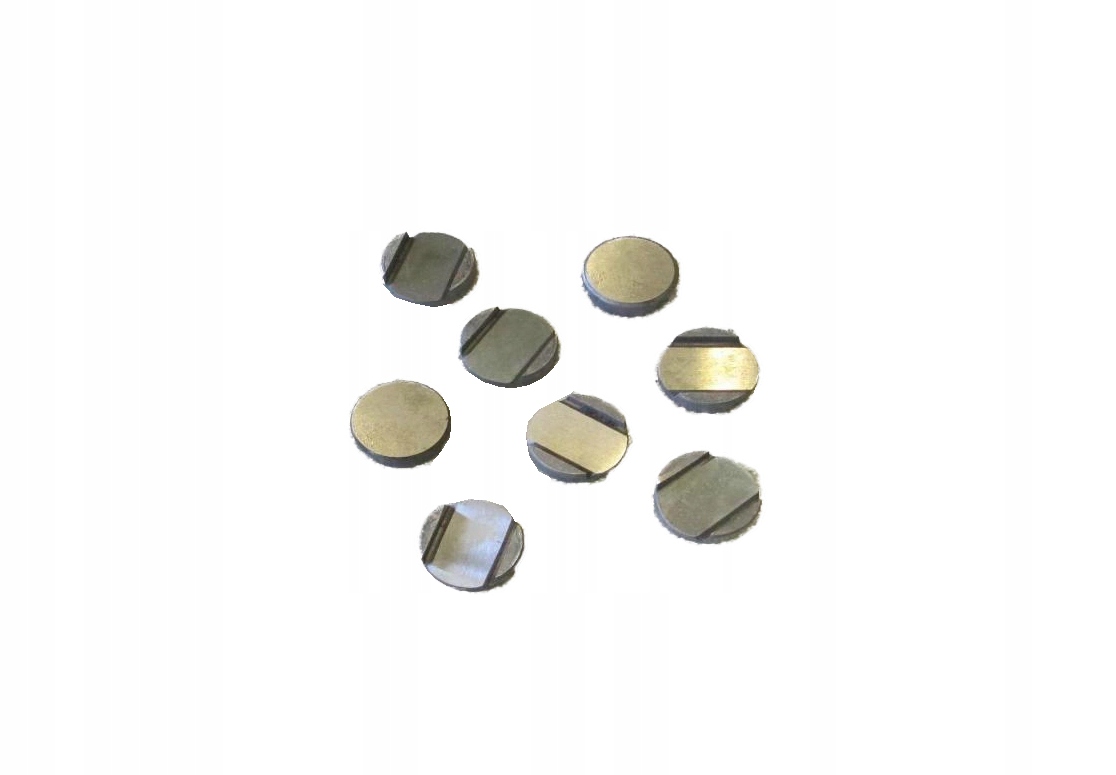 LUBLIN HONKER GAZELA ŻUK WKŁADKA PROWADZĄCA 8 SZT