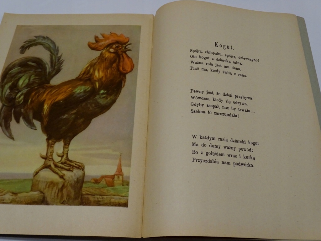 PRZYJACIELE JÓZEF BIRKENMAJER WEGNER Autor JÓZEF BIRKENMAJER