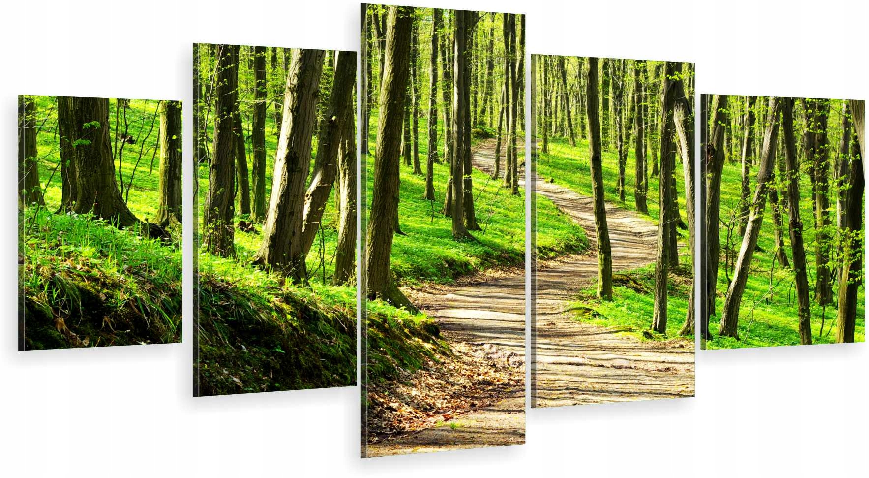 

Tryptyk 5-CZĘŚCI Na Ścianę Dróżka Las 980 Wzorów