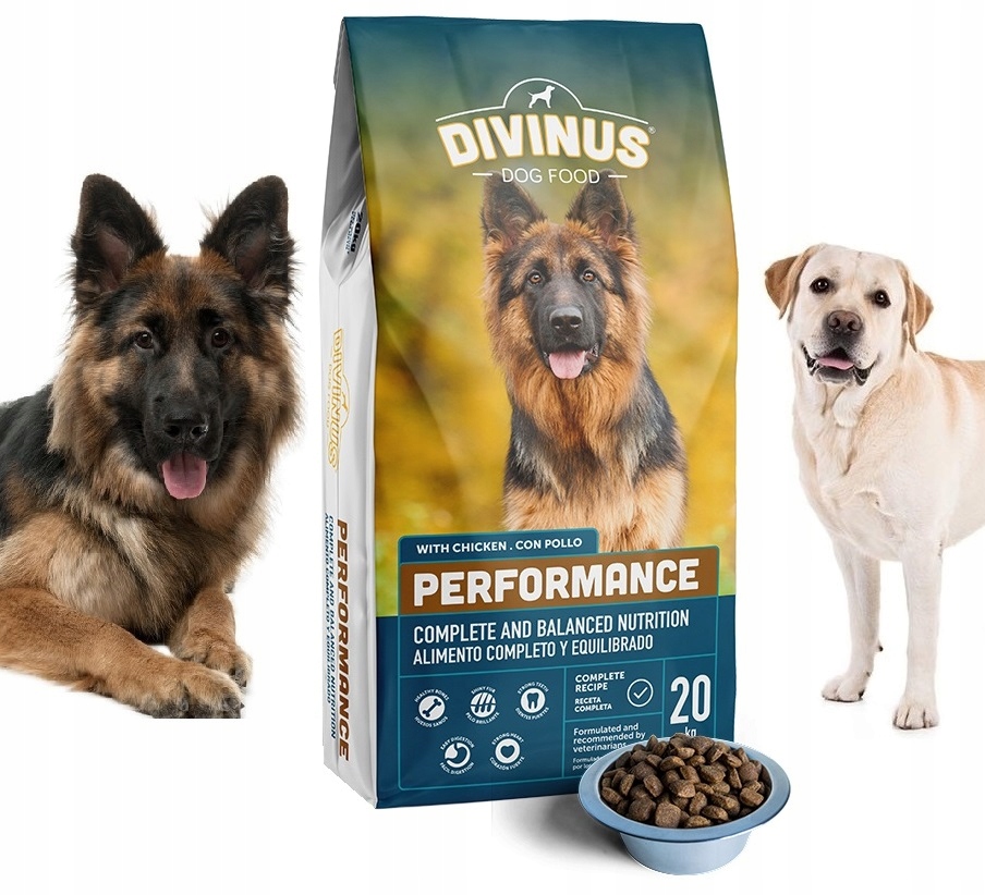 Karma Divinus Performance dla Owczarka Labradora 20 kg