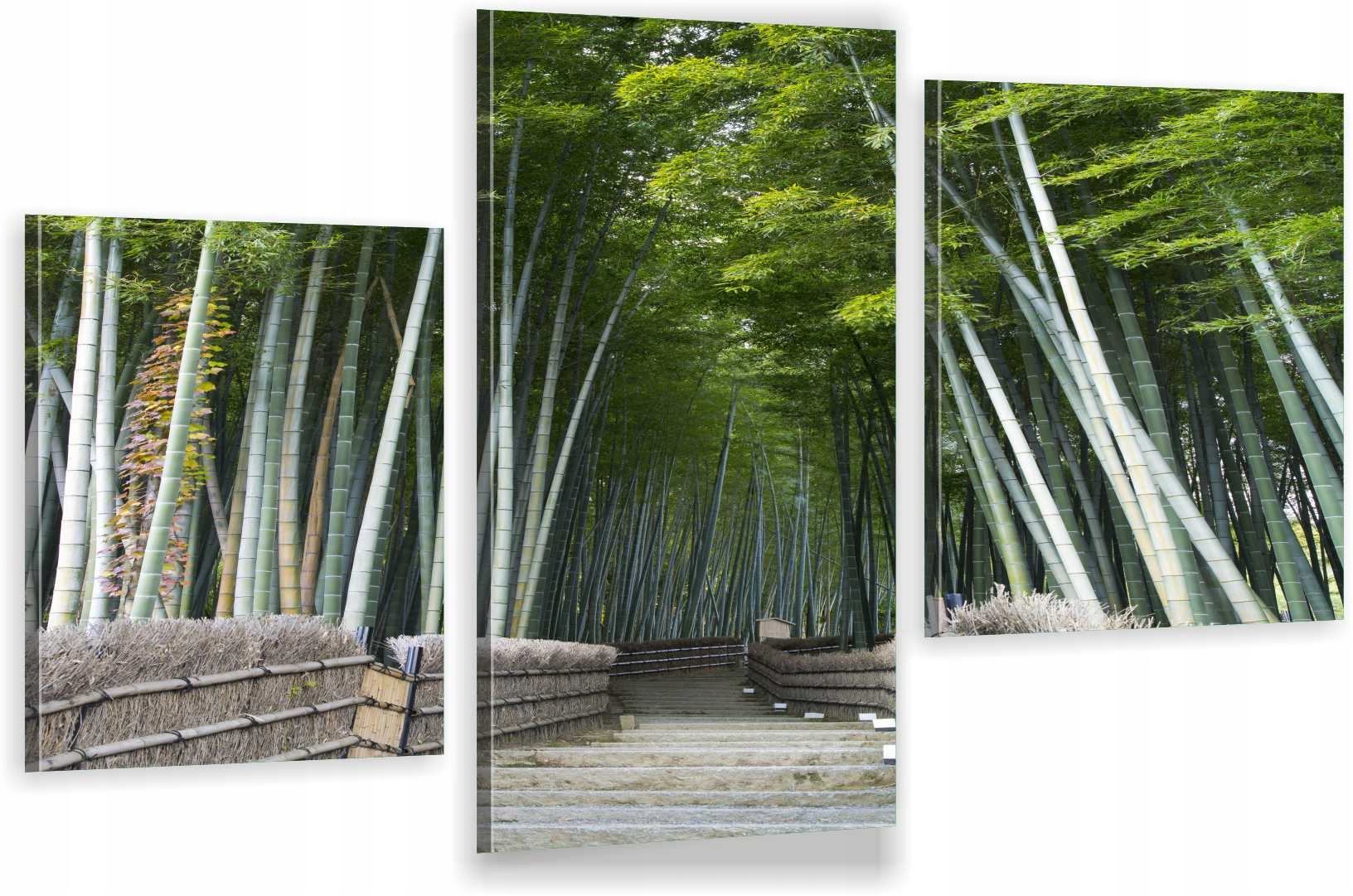 

Tryptyki Obraz Na Ścianę Las Bambusowy 800 Wzorów