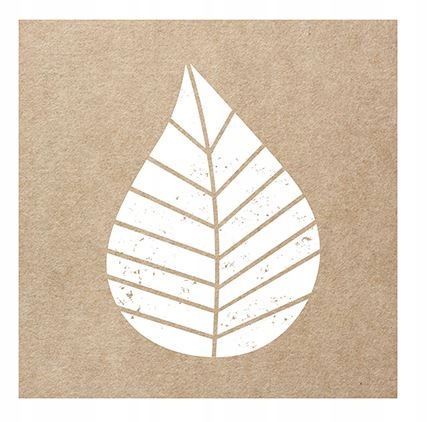 

Serwetki ekologiczne eko Kraft leaf 3warstwy 20szt