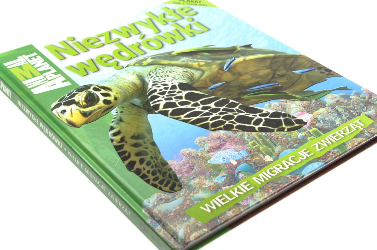 Wędrówki Wielkie Migracje Zwierząt