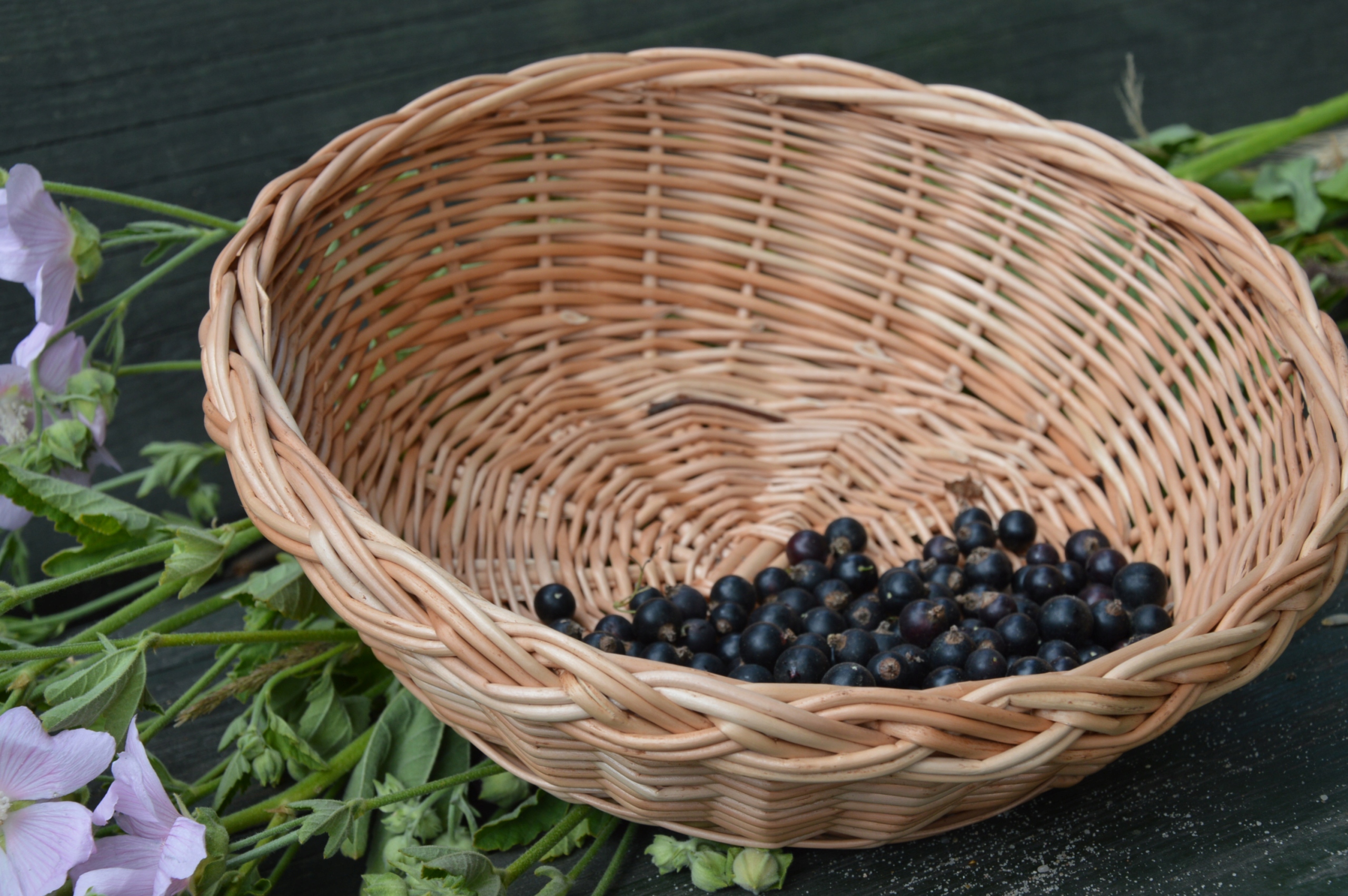 Taca wiklinowa tacka na owoce rozm.L rękodzieło Rodzaj taca