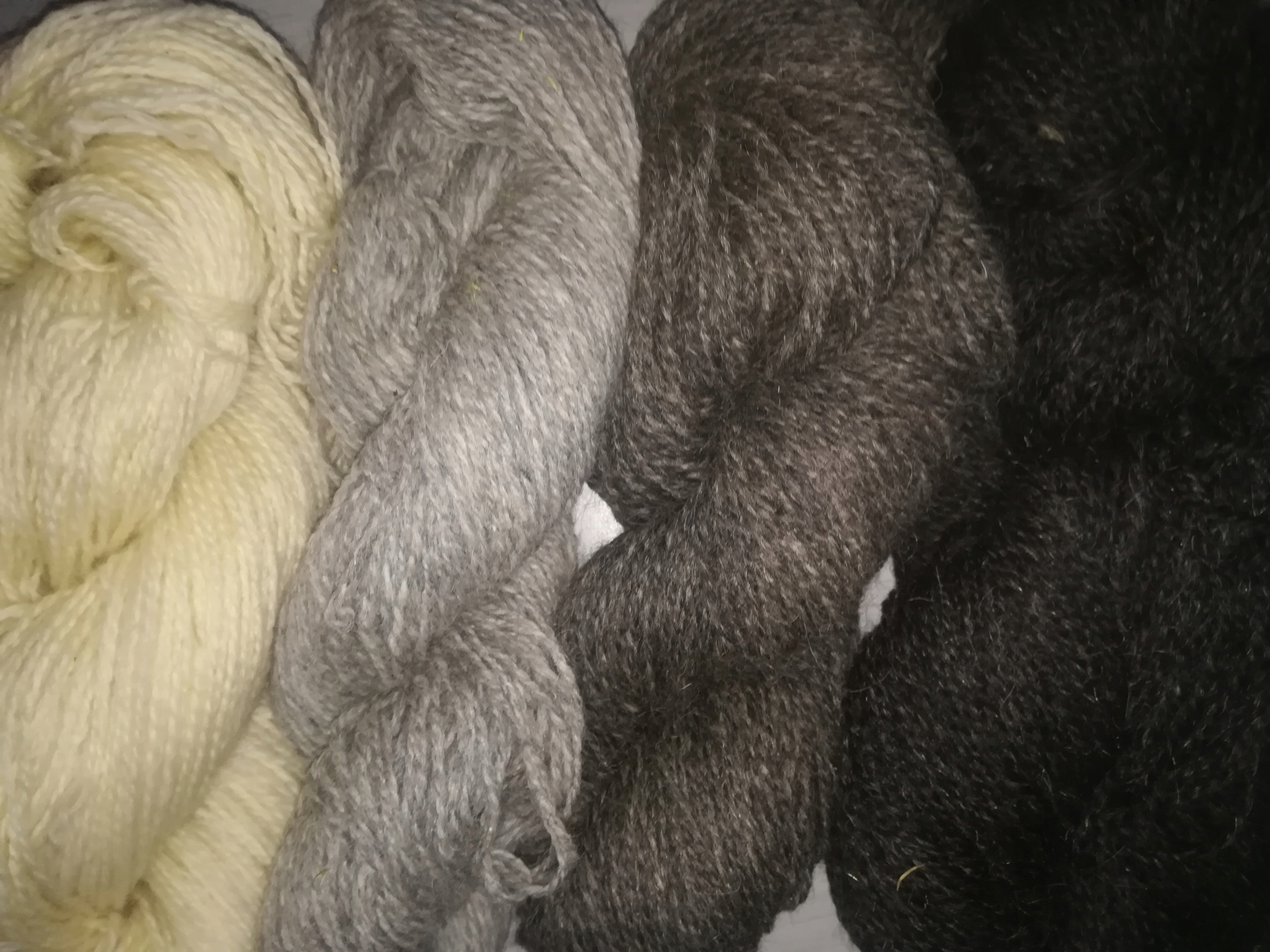 Ovčí vlna-skopové 100%, příze, nejlevnější 1,5kg