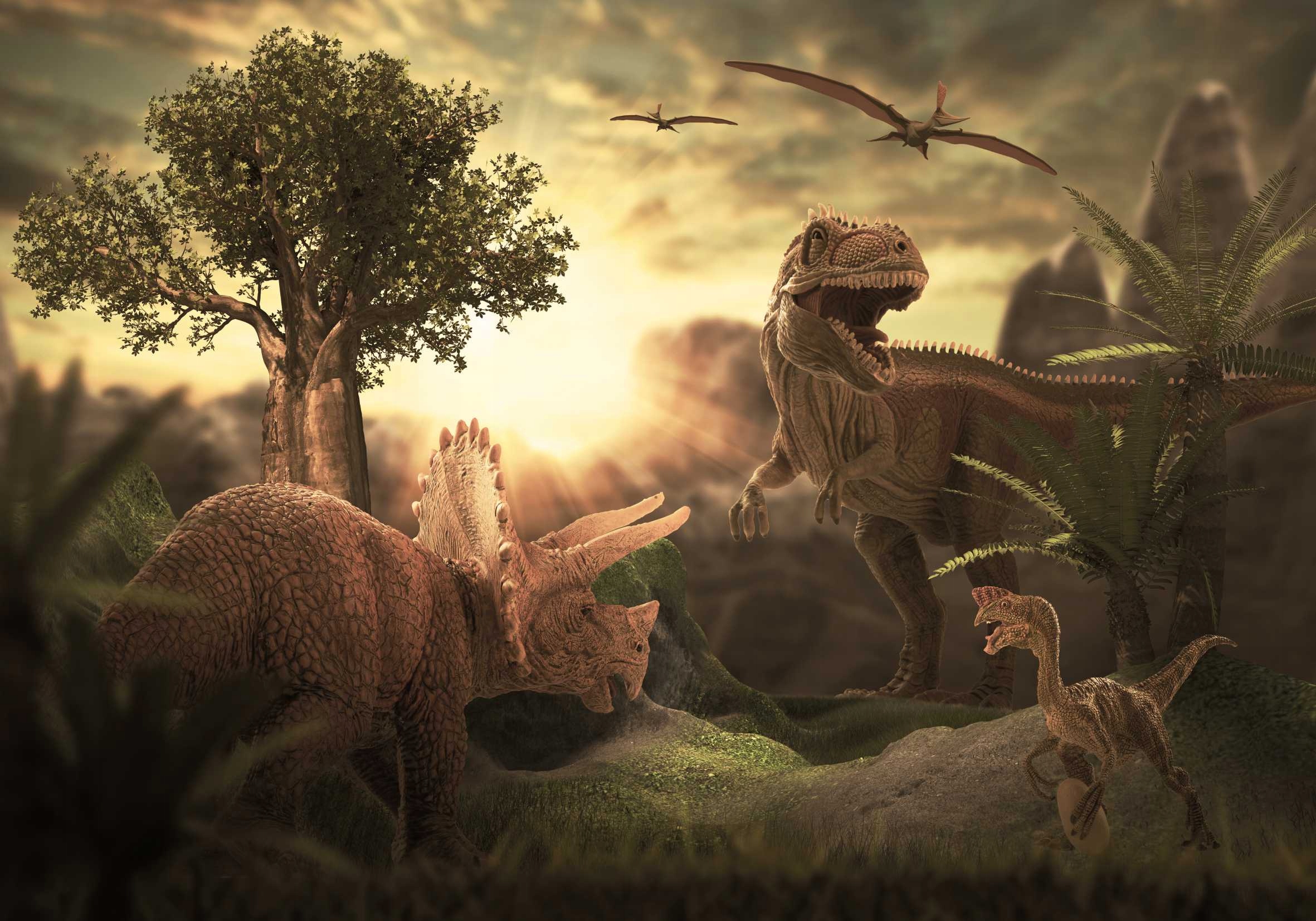 

Plakat Poster Dinozaur Dinozaury 100x70 Wybór