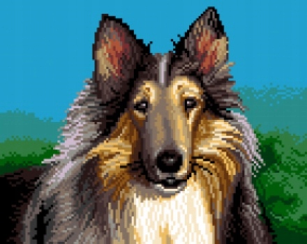 Výšivka křížová sada, kanva+mulina+jehly, 30x24cm, ovčák kolie, Lessie