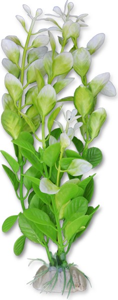 

Ludwigia Biała 20 CM Sztuczna Roślina Do Akwarium