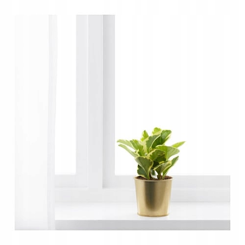 IKEA DAIDAI Osłonka Doniczka SHABBY 9 cm MOSIĄDZ Kod producenta 703.594.01