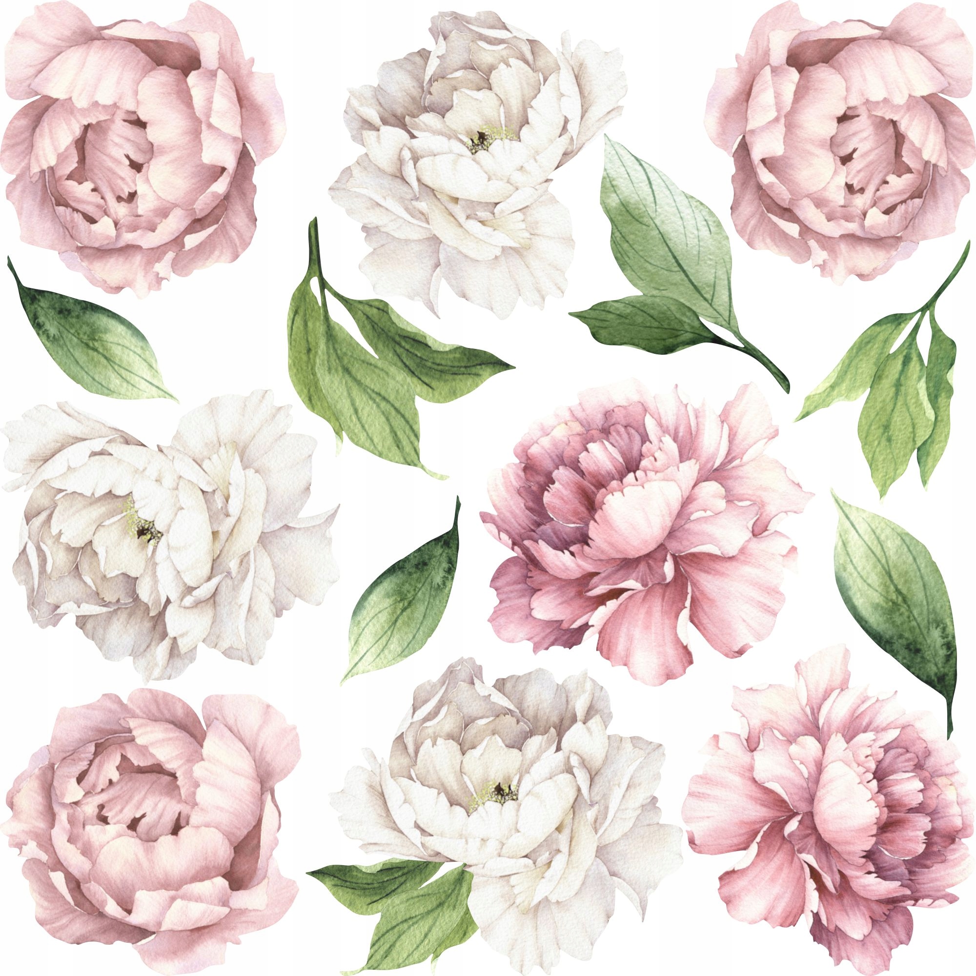 

Naklejka ścianę Piwonie peonie kwiaty zestaw 150cm