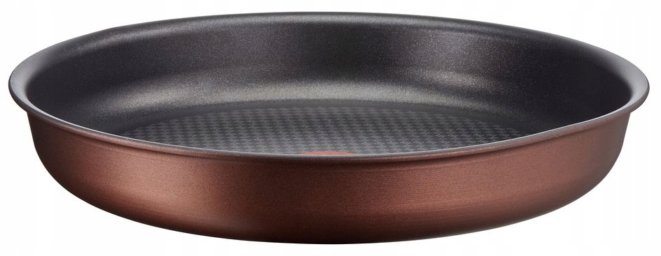 

Patelnia Tefal Ingenio Resource 22cm L6750302