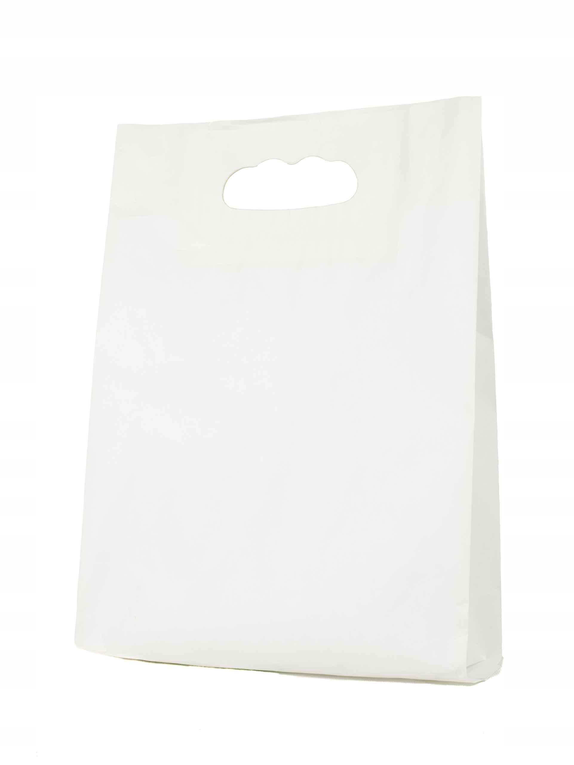 Reklamówka Torebka Torba papierowa 20x6x30 B50szt