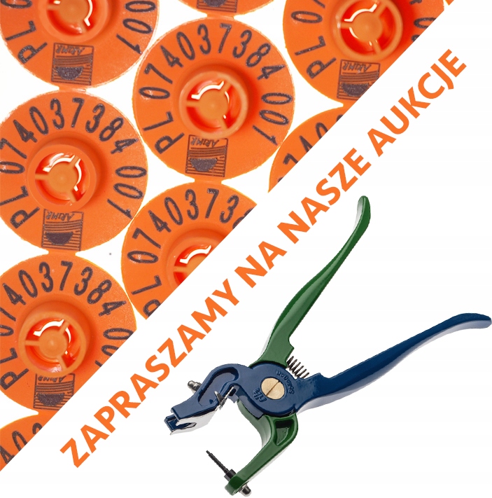 OLNET Kolczyki dla świń trzody 100 szt EKSPRESOWO Kolor pomarańczowy