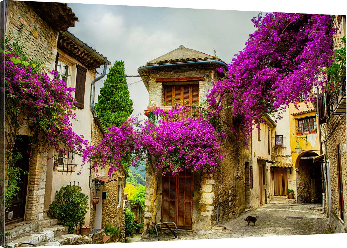 

Obraz Na Płótnie Prowansja We Francji 90x60 980 Wz