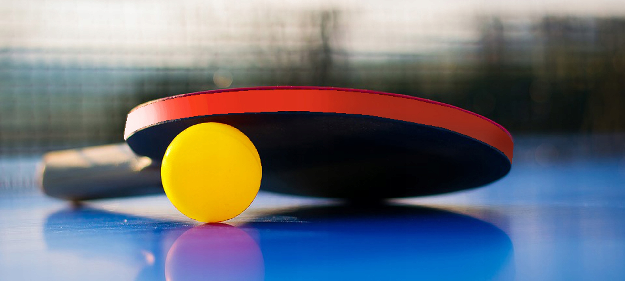 PING PONG TENIS STOŁOWY RAKIETKA +2PIŁECZKI ZESTAW Kolor dominujący inny